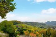 Top Badenweiler