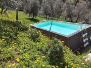Top Sesto Fiorentino