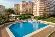 Top Torrox