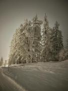 Appartamenti Larice Pila