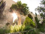 Top Vejer de la Frontera