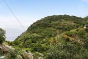 Top Corniglia