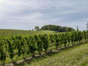 Top Kressbronn am Bodensee