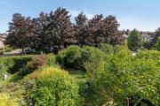 Top Offenburg