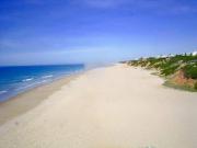 Top Conil de la Frontera