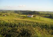 Top El Campo