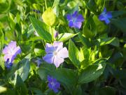 Top Saint-Hilaire-la-Palud