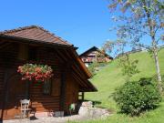 Top Bad Rippoldsau-Schapbach