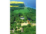 Top Oldenburg in Holstein