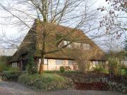 Top Oldenburg in Holstein