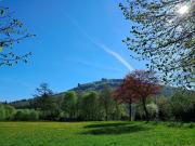 Top Olsberg
