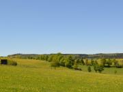 Top Olsberg