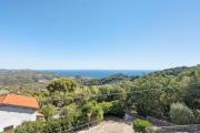 Top Cipressa