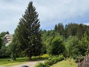 Top Schonwald im Schwarzwald
