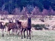 Top Inverness
