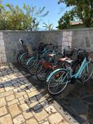 Top Paestum