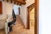 Top Lisciano Niccone