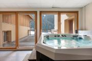 Top Peisey-Nancroix