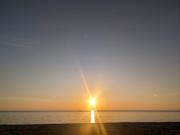 Da Fratello Coscienza