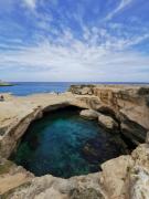 Top Calimera