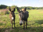 Top Mont-près-Chambord