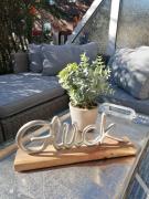 Ferienhaus Strandgut