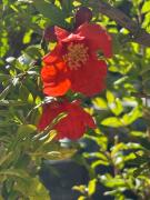 Top Brandenburg an der Havel