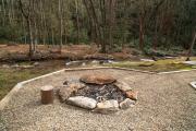 Top Pisgah Forest