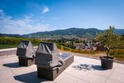 Top Oberkirch