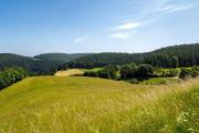 Top Hornberg