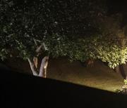 Top Monteverdi Marittimo