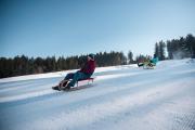 Top Schonwald im Schwarzwald