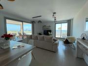 Top Torrox