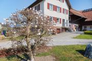 Top Kressbronn am Bodensee