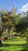Top Urubamba