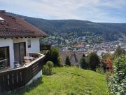 Top Bad Wildbad