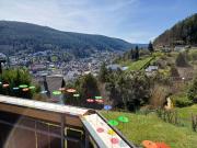 Top Bad Wildbad