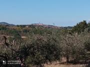Casa di Campagna