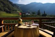 Top Terlano