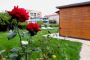 Dependance Con Giardino A Pescara