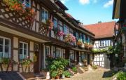 Top Gengenbach