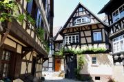 Top Gengenbach