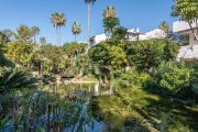 Top Estepona