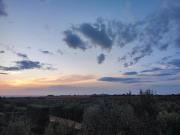 Top Torre Inserraglio