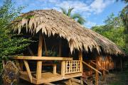 Wildlife Lodge Cahuita