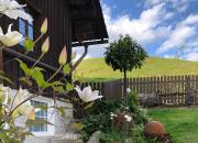 Top Windorf