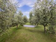 Top Cavaion Veronese