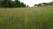 Grotthof