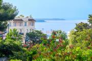 Top Cannes