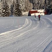 Top St. Blasien